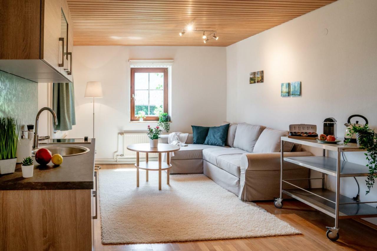 Lakeview Apartment Гальштат Экстерьер фото